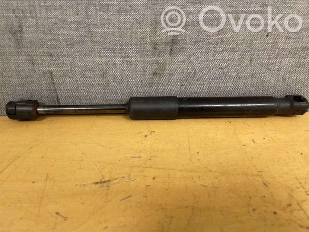 Tesla Model Y Dzinēja pārsega amortizators 