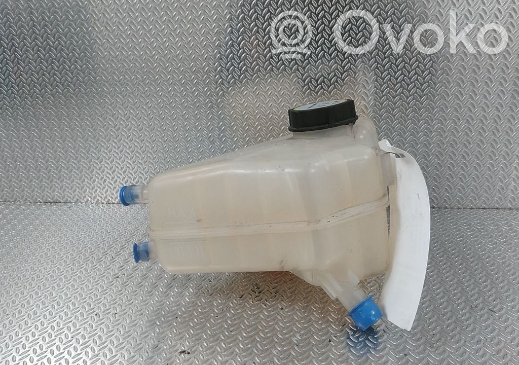 Ford Fiesta Vaso di espansione carburante 