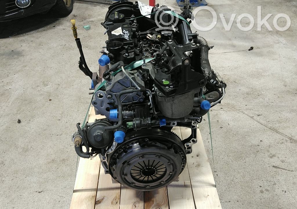 Ford Focus Motor 
