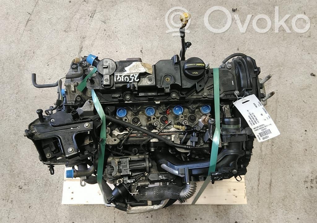Ford Focus Variklis 