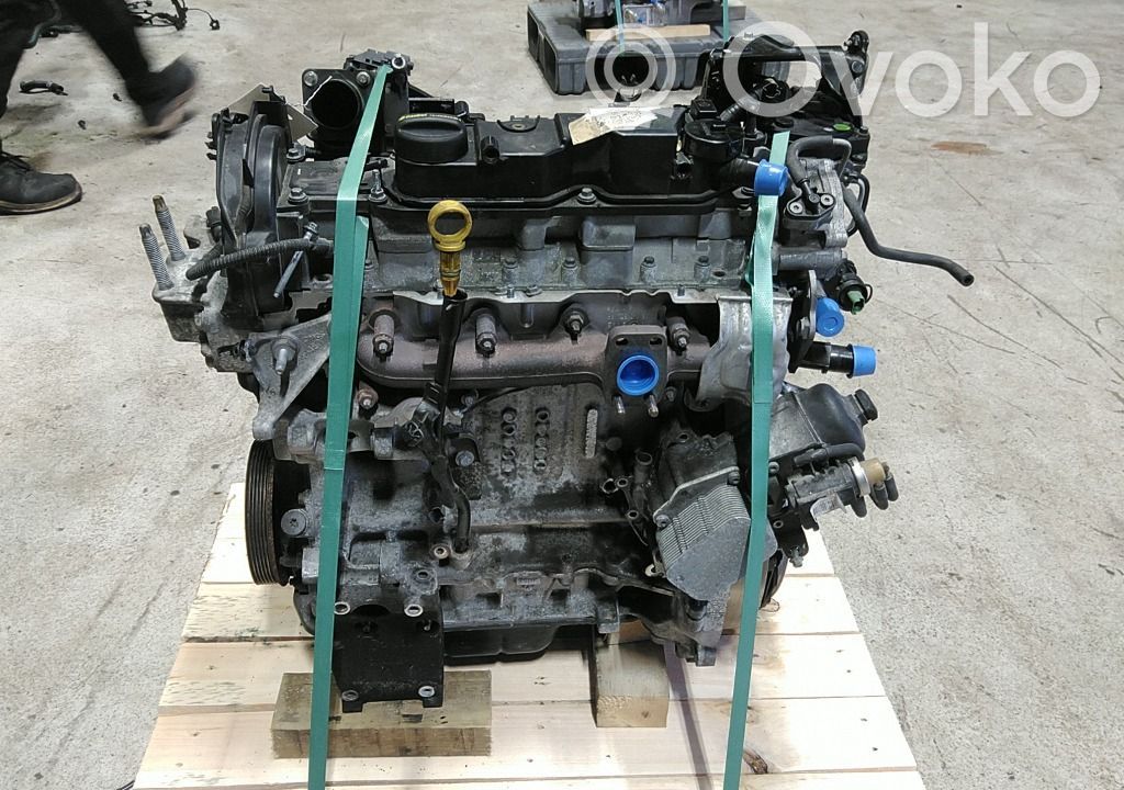 Ford Focus Motor 