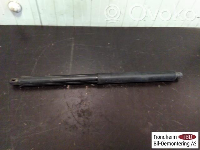 BMW X5 E70 Ammortizzatore portellone posteriore/bagagliaio 