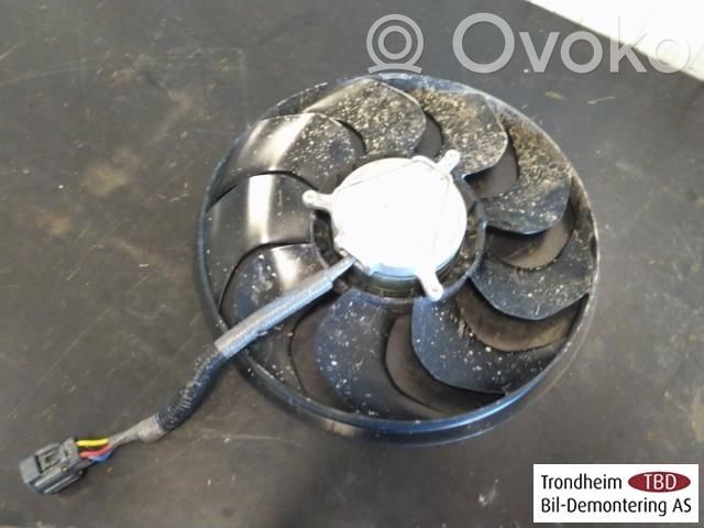 Tesla Model 3 Elektrinis radiatorių ventiliatorius 