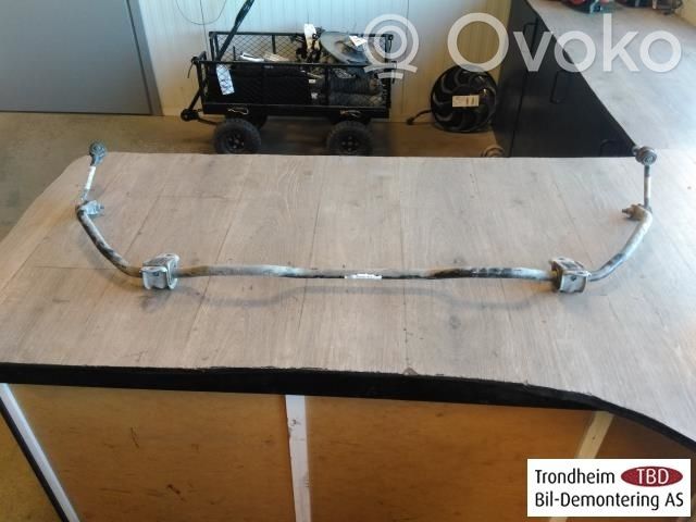 Tesla Model 3 Bară/bieletă antiruliu spate 