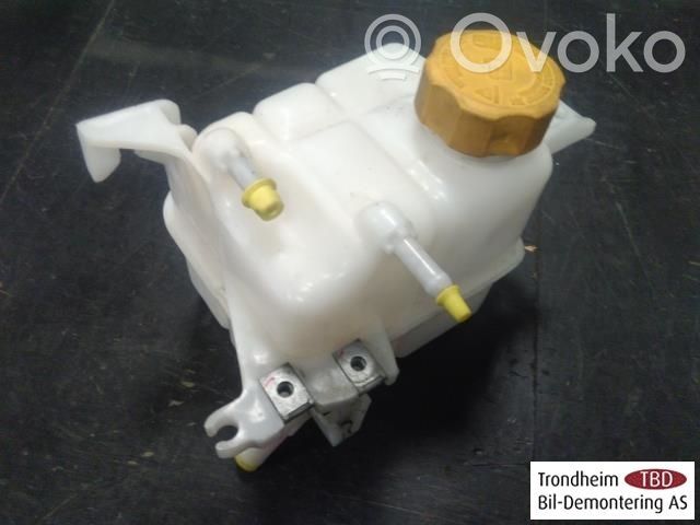Opel Antara Vas expansiune combustibil 