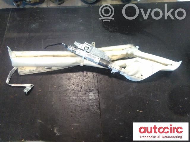 BMW X6 E71 Airbag del techo 