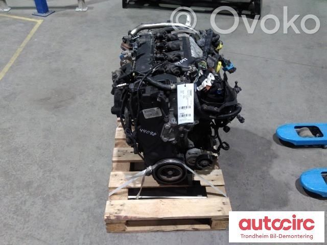 Ford Focus Motor 
