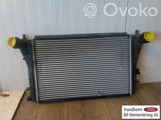 Volkswagen Beetle A5 Radiator intercooler 