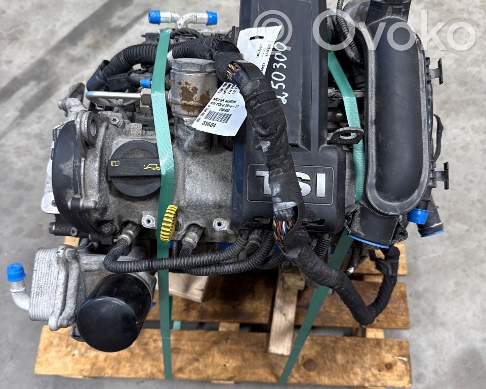 Volkswagen Polo V 6R Engine 