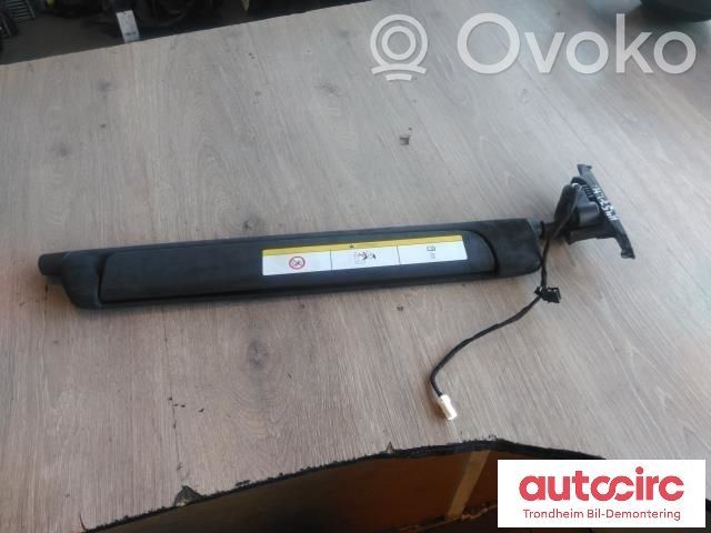 Tesla Model X Rear door window curtain/sunshade 