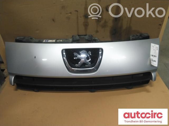 Peugeot Expert Front grill 