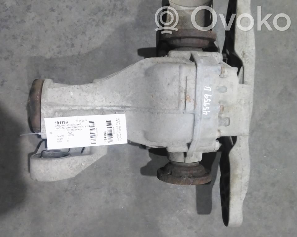 Audi A6 S6 C6 4F Eje trasero 