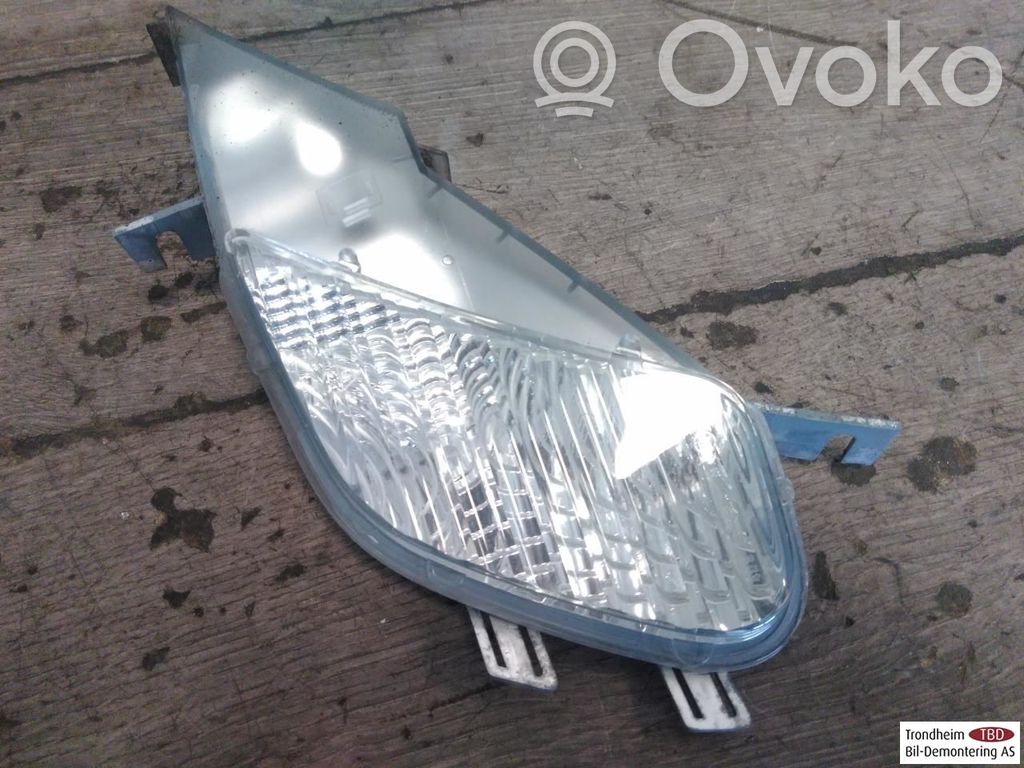 Porsche Cayenne (9PA) Spiegelblinker 