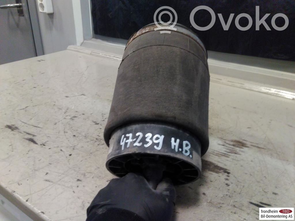 Land Rover Range Rover Sport L494 Butelie suspensie pneumatică spate/amortizor 