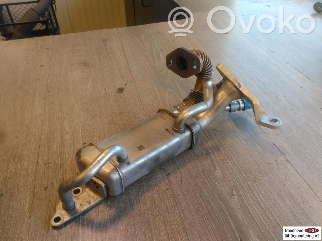 Dacia Duster Răcitor supapă EGR