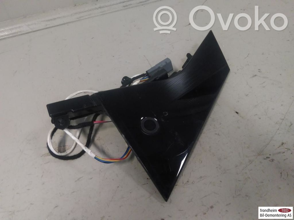 Ford Mustang Mach-E Manecilla externa puerta trasera 