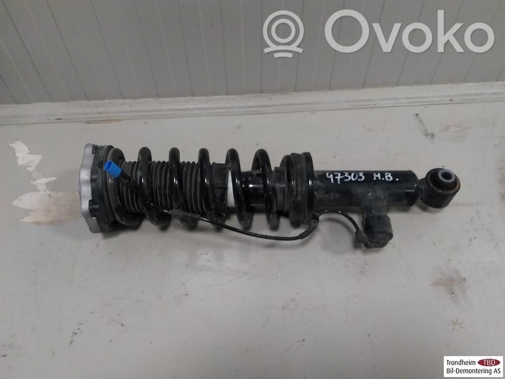 BMW iX3 Ammortizzatore posteriore con molla elicoidale 