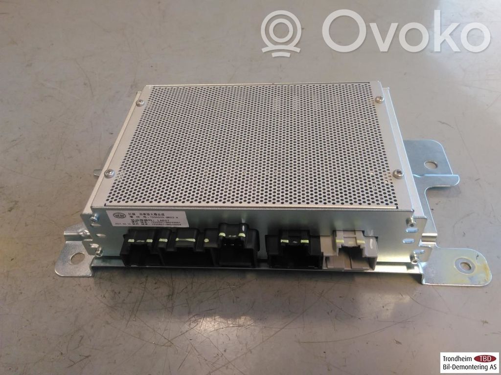 Hongqi E-HS9 Amplificatore 