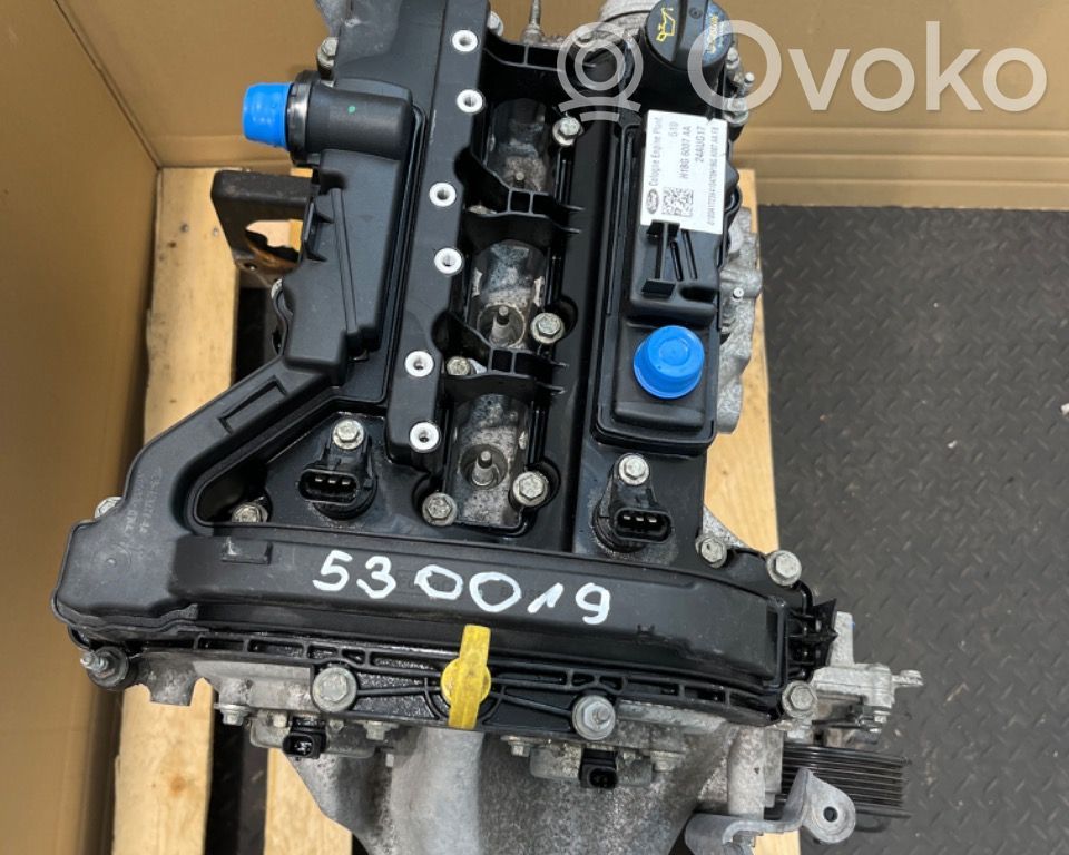 Ford Fiesta Motore 
