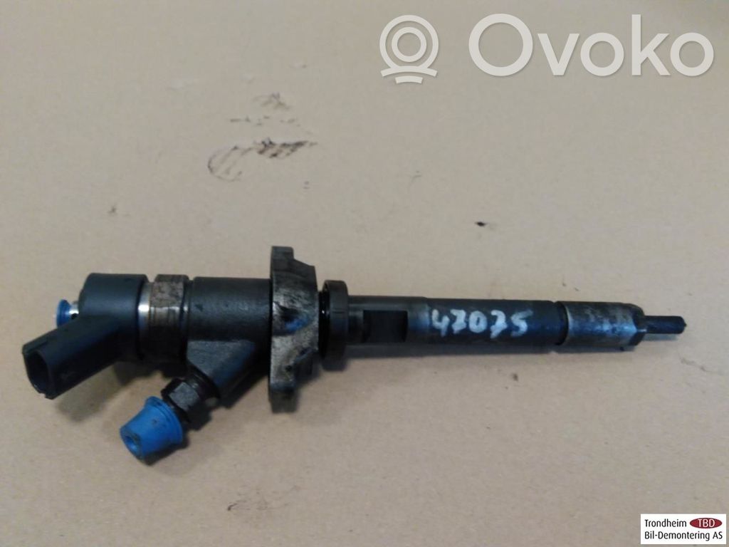 Peugeot 407 Injector combustibil 