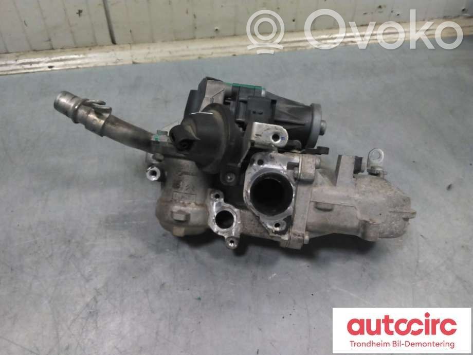 Citroen DS4 EGR vožtuvas 