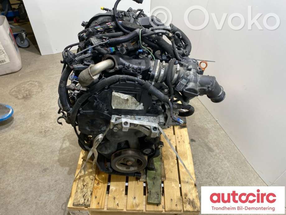 Citroen Berlingo Engine 
