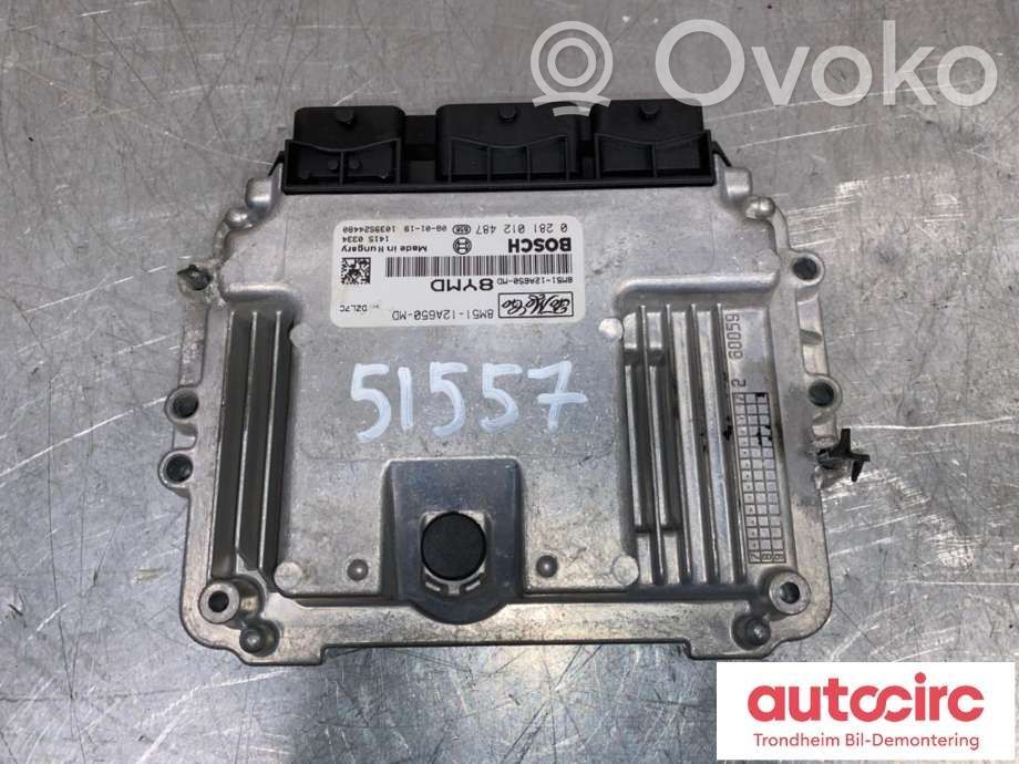 Ford C-MAX I Engine control unit/module ECU 