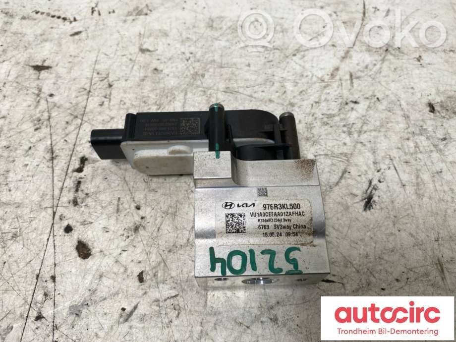Hyundai Ioniq 5 Oro kondicionieriaus kita detalė 