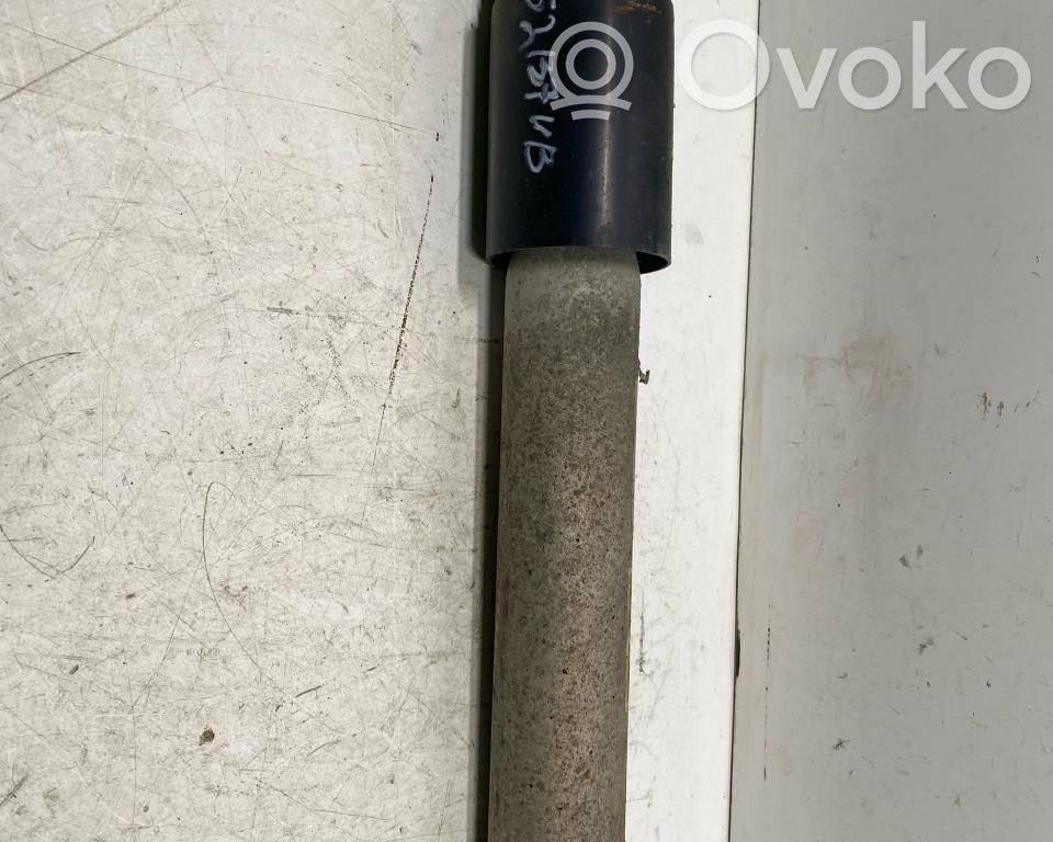 Stoßdämpfer hinten   33526786525,33526786525