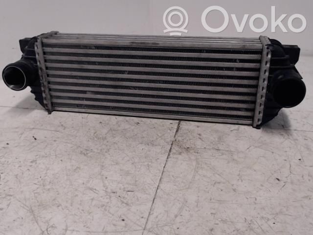Ford Transit -  Tourneo Connect Radiador intercooler 
