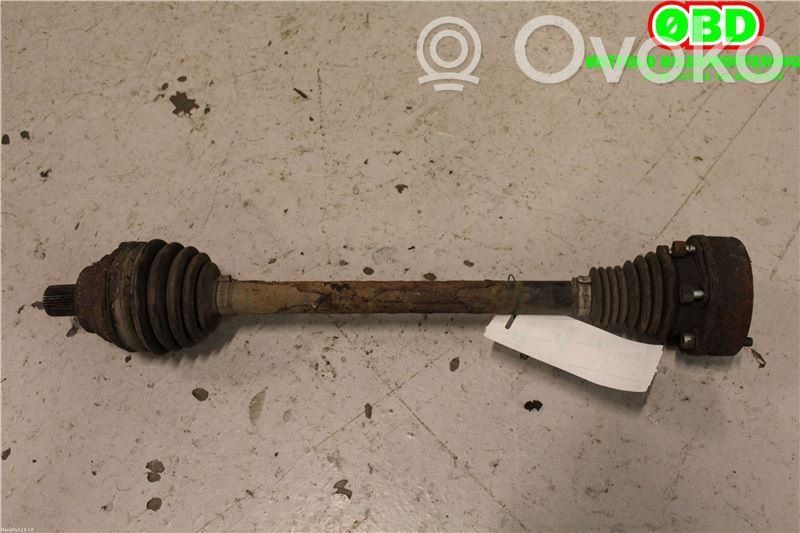 Skoda Octavia Mk2 (1Z) Planetară spate 