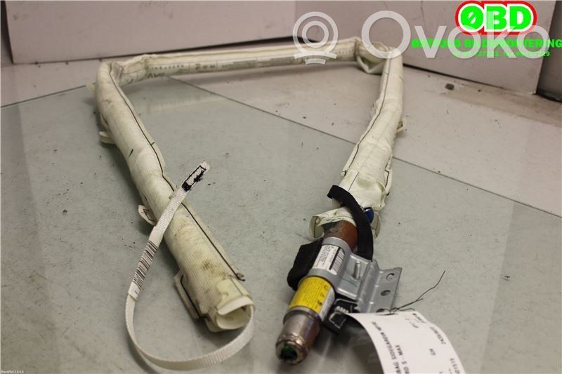 Ford S-MAX Airbag del techo 