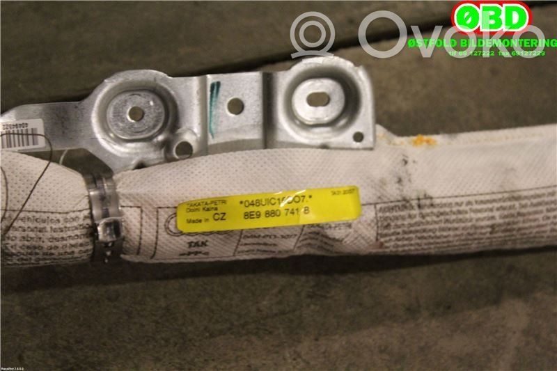 Audi A4 S4 B7 8E 8H Airbag da tetto 