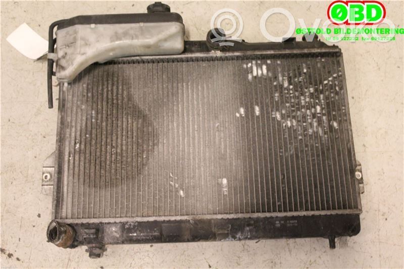 Hyundai Matrix Dzesēšanas šķidruma radiators 