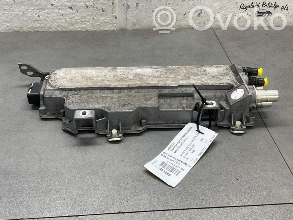 BMW X5 G05 Încărcător baterie (opțional) 