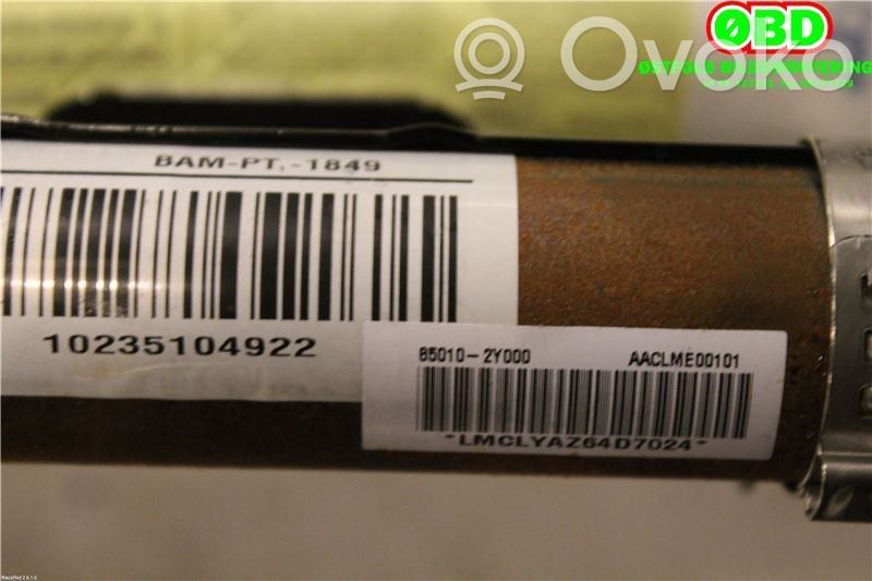 Hyundai ix35 Airbag del techo 