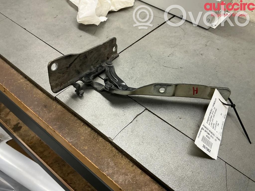 KIA Optima Cerniere del vano motore/cofano 