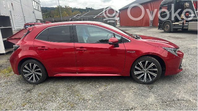 Toyota Corolla E210 E21 Galinės durys 