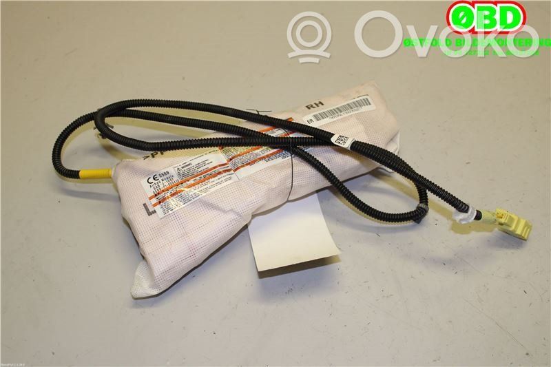 Nissan Leaf I (ZE0) Airbag lateral