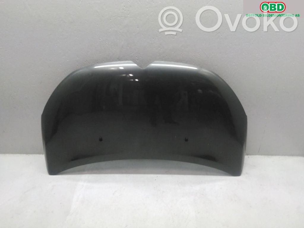Capó/tapa del motor