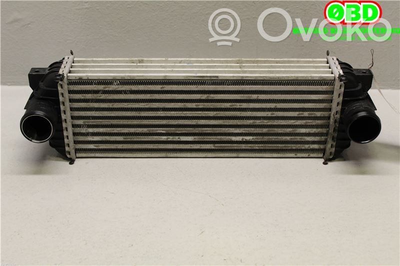 Ford Transit - Tourneo Connect Radiatore intercooler