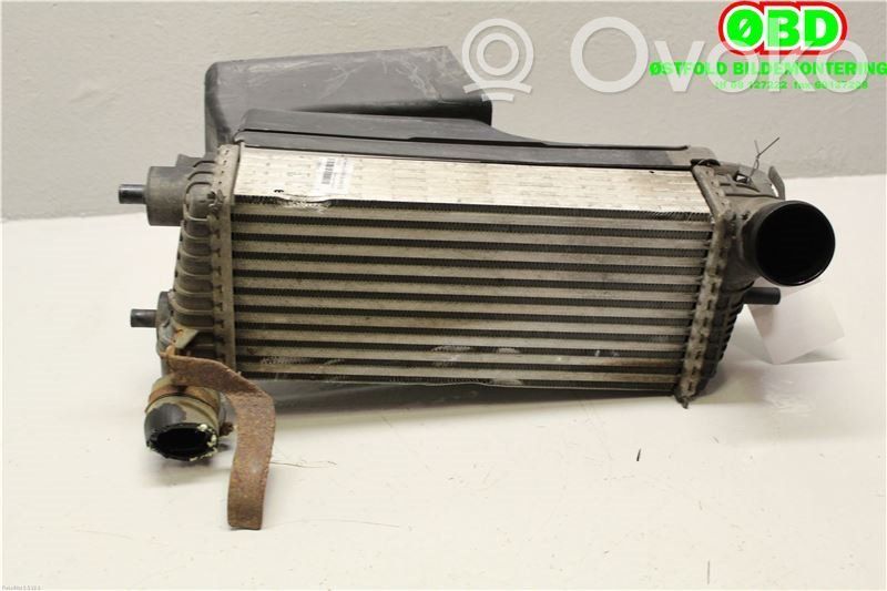 Intercooler radiator   1778294,BV619L400CE,BV619L400CE,1778294,BV619L400CE
