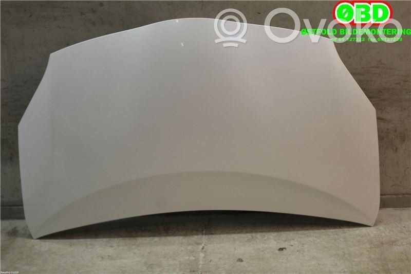 Toyota Prius (XW30) Vano motore/cofano 