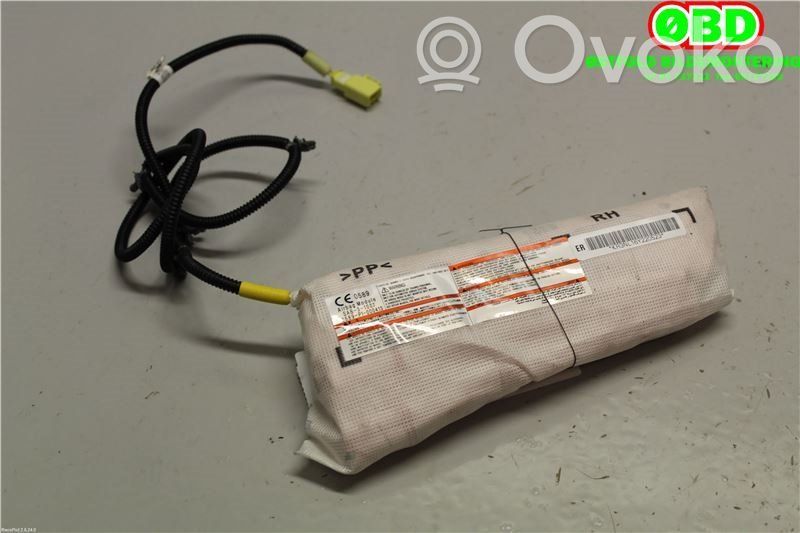 Nissan Leaf I (ZE0) Airbag laterale