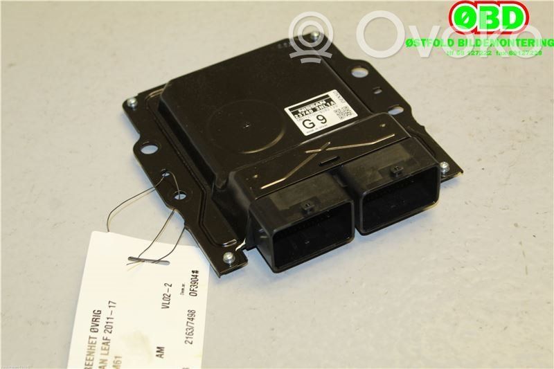 Nissan Leaf I (ZE0) Other control units/modules 