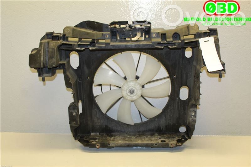 Peugeot iOn Difuzors 