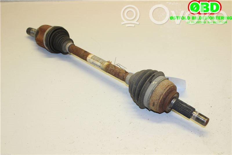 Semiasse anteriore   391016376R,391016376R