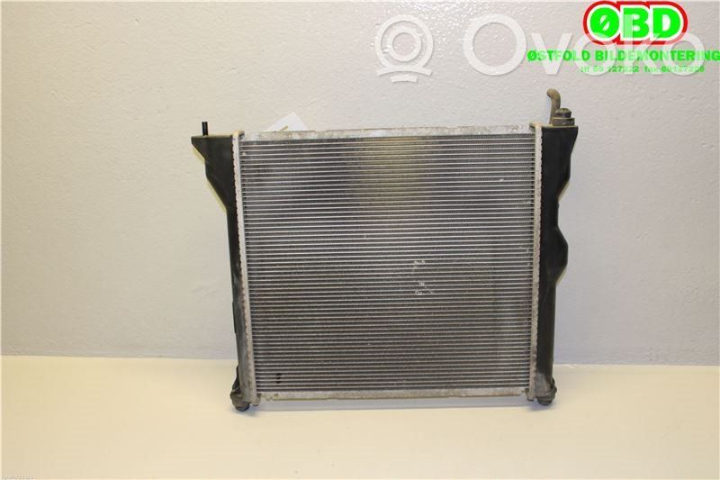 Peugeot iOn Coolant radiator 