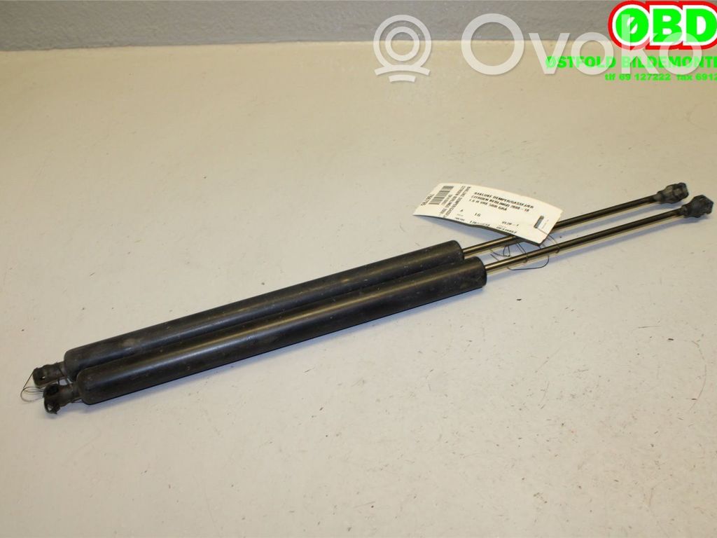 Amortizor hayon   8731R9,8731R9