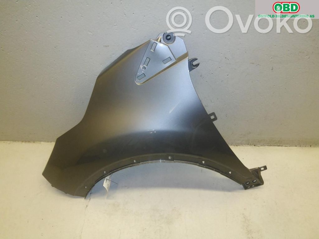 Błotnik przedni   631015072R,631015072R